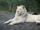 zoo-70669