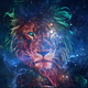 lion-2672167 1920