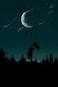 night-2890758 1920
