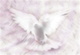 flyidove-2882968 1920