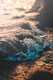 brynden-429043-unsplash