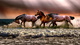animal-3099035 1280