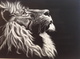lion-1214837 1920