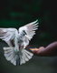 javardh-bYzQxJi8Y7g-unsplash