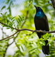ryan-grewell-h3wVB-g8V5Y-unsplash