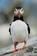 ray-hennessy-mpw37yXc WQ-unsplash