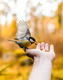 taneli-lahtinen-fQ2YX56wQ-Y-unsplash