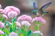 w-r-AEVAMhago-s-unsplash