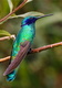 chris-charles-9APFPoNb9iw-unsplash