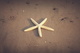 mike-kenneally-NXB51Lc1RdM-unsplash