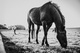 mitchell-orr--QvtjaSkK5k-unsplash
