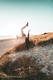 lukas-zischke-3ewVa7dRtV0-unsplash