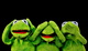 kermit-2687975 1920