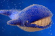 whale-2517325 1920