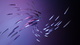 shubham-dhage-5sWL3GQ5iCc-unsplash