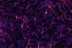 aedrian-g3p1iPh2nRs-unsplash