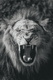 samuel-scrimshaw-V0SkM3CoaCM-unsplash
