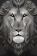 lion-7503158 1920