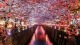Autumn002340001
