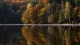 Autumn002340002