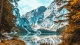 Autumn002340003