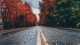Autumn002340004