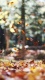 Blur0013