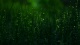 Bokeh00280005