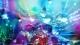 Bokeh00280007
