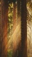 Fantasy0036