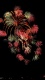 Fireworks10022