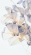 Flowers0037