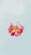 Flowers0035