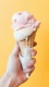 Foods0053