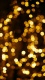 Golden0037