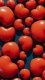 Hearts0050