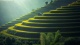 Landscape0029