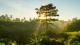Nature0024