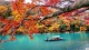 Nature0027