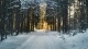 Snow0009