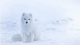 Snow0011