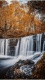 Waterfall0061