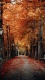 Autumn0006