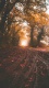 Autumn0008