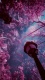 Fantasy0004