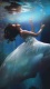 Fantasy0007