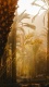 Go Exploring0016