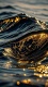 Golden0023