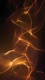 Golden0035