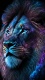 Lion0005